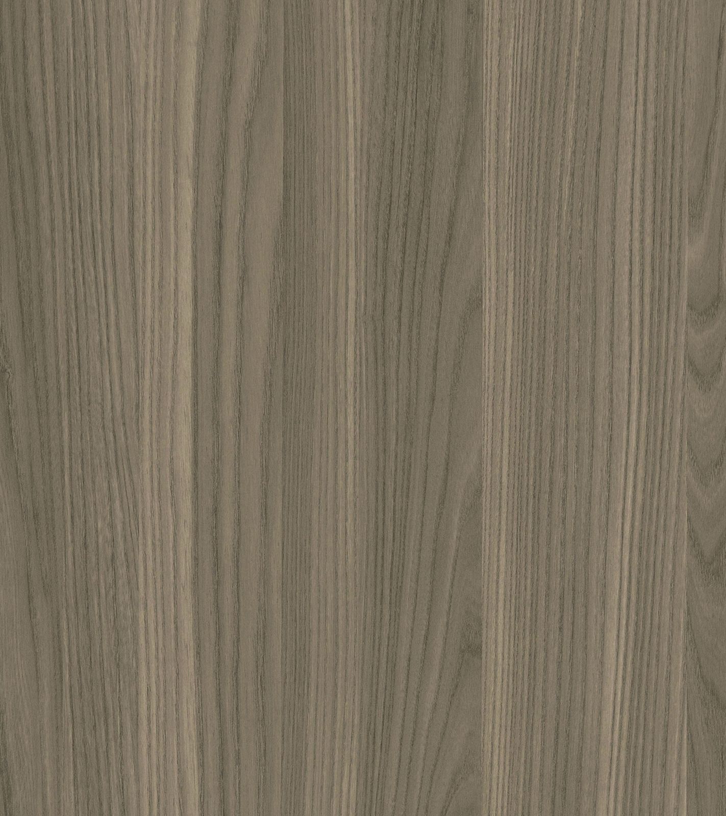 Grey Elm by LAMITEX