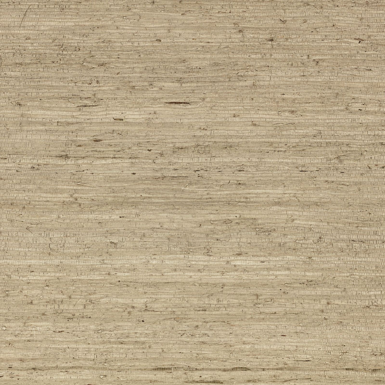 Arrowroot Wallcovering Parchment by Mark Alexander