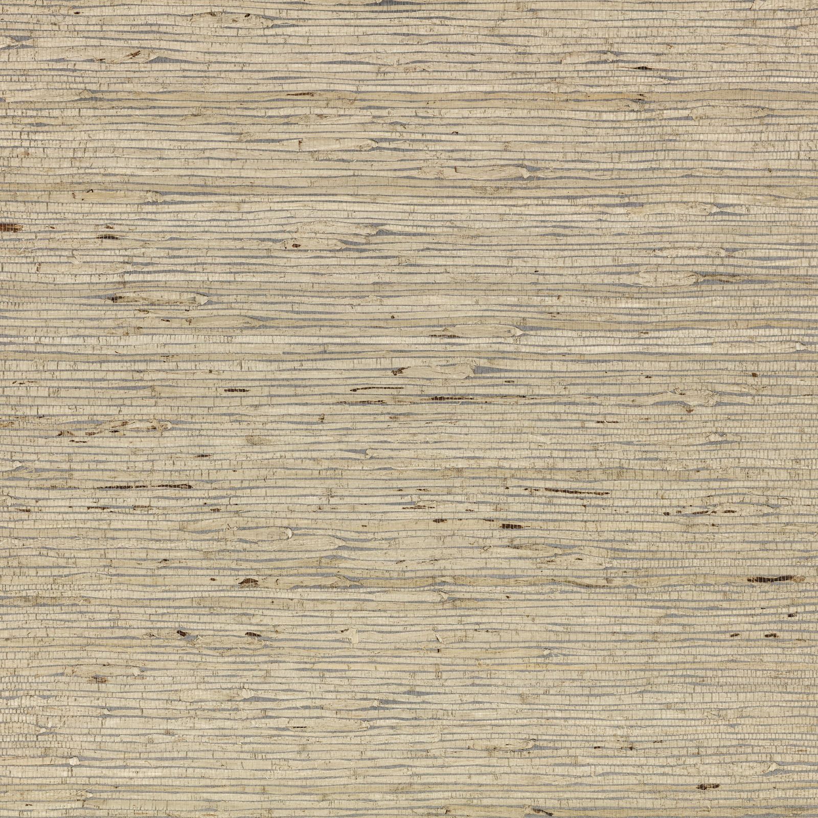 Arrowroot Wallcovering Tempest by Mark Alexander