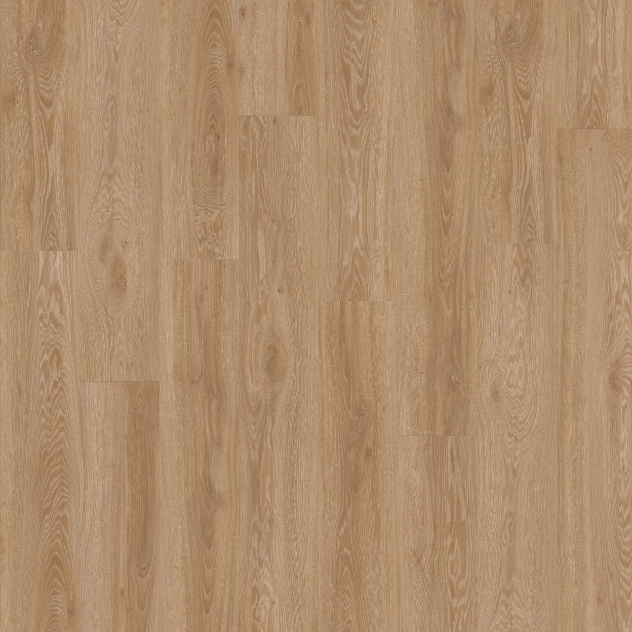 Blackjack Oak 22450 by Moduleo