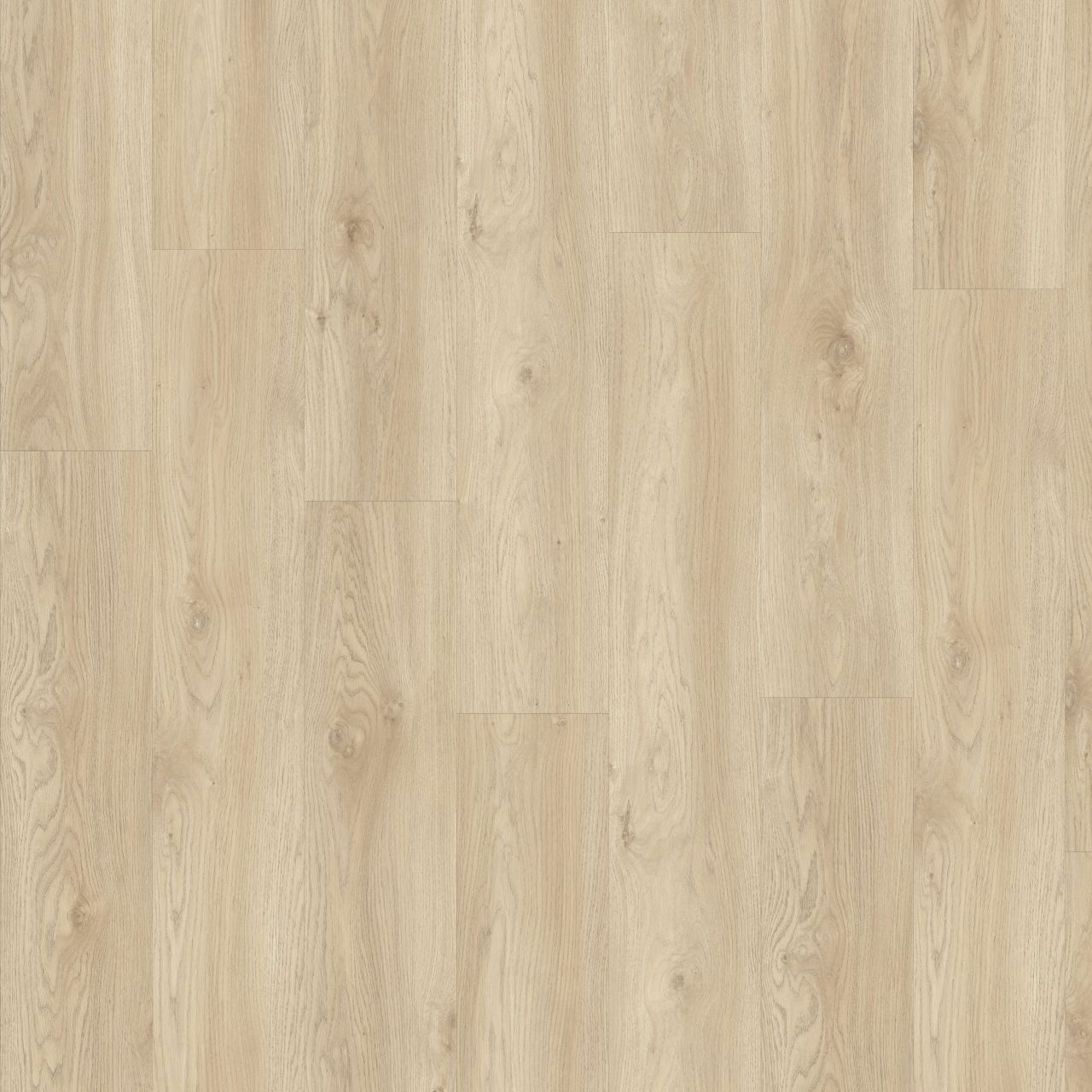 Sierra Oak 58248 by Moduleo