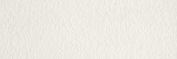 Mosa Cool Porcelain White 8 x 24 inch Tile (200RL2060-D) by Mosa