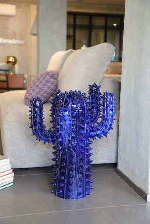 CACTUS by Nicolo' Giuliano