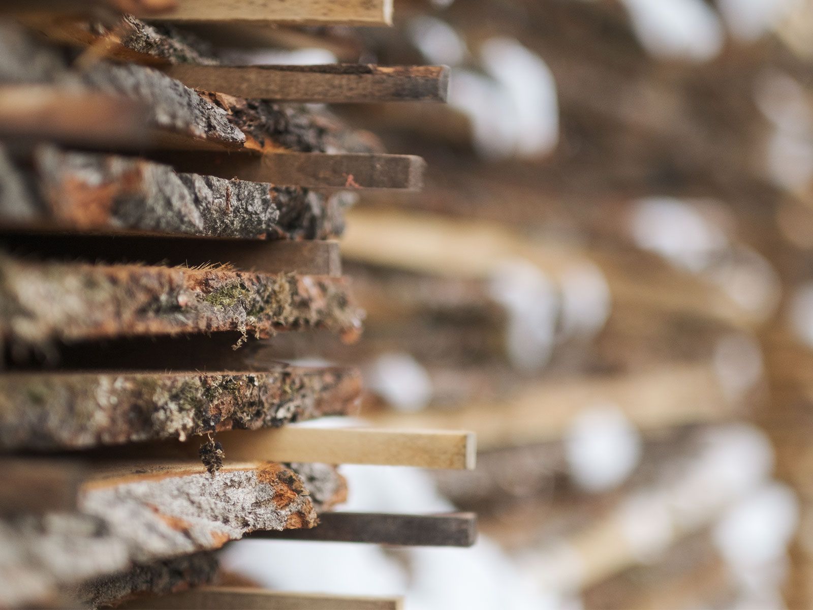 Nunc | Sustainability from Production to consumption: Greening the wood industry by Nunc