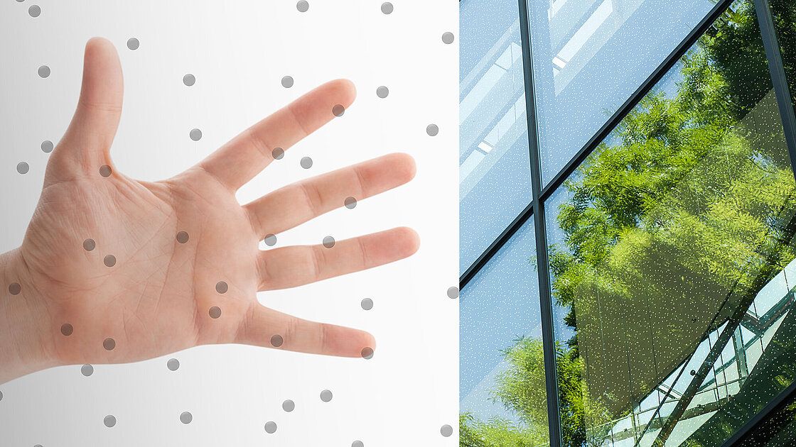 Bird protection glass by OKALUX