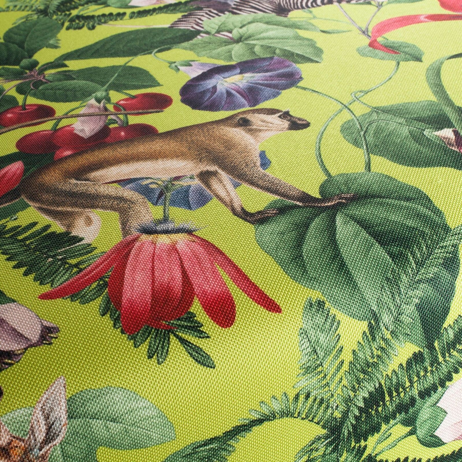 JAB – Exotic by Oxley's Furniture