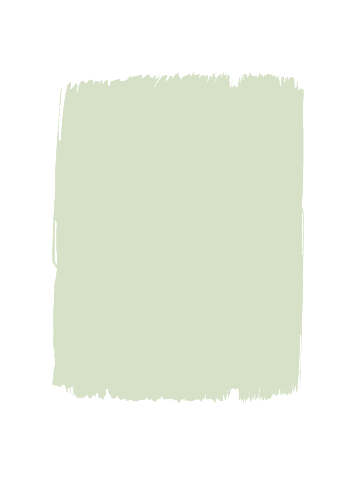 Latte E Menta T102 P.124 Wall Paint by Paint Up