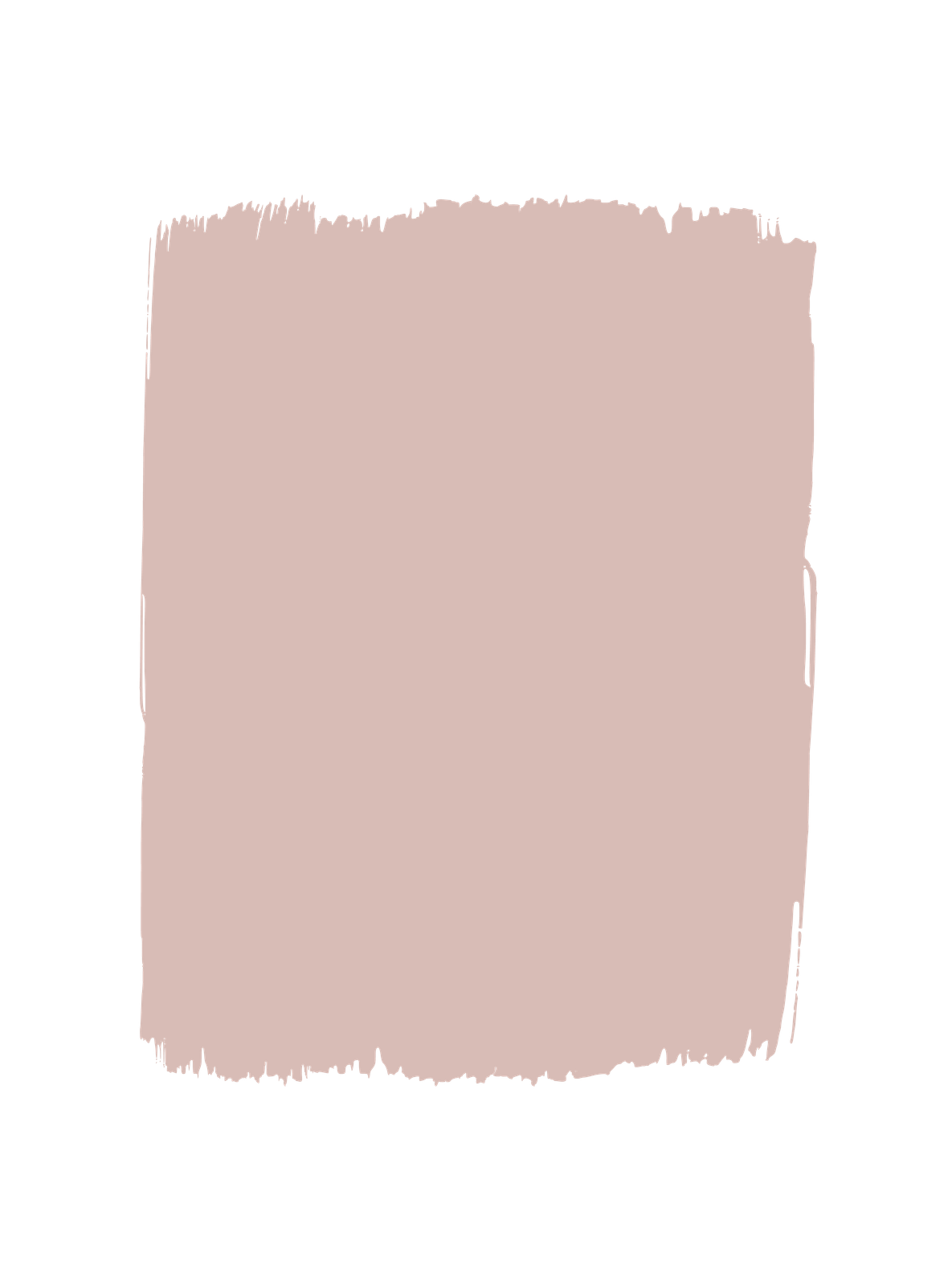 Cipria Wall Paint by Paint Up