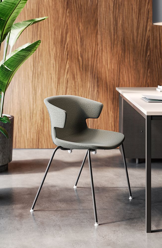 Cove by Quadrifoglio Group