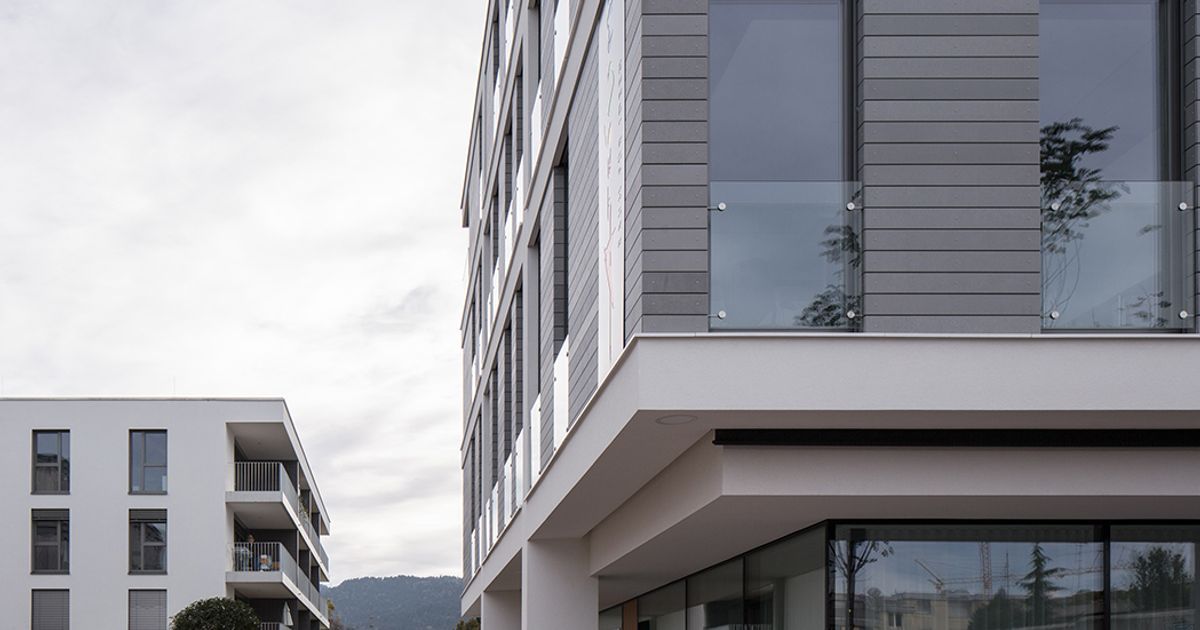 Fassade mit schmalen öko skin Latten by RIEDER