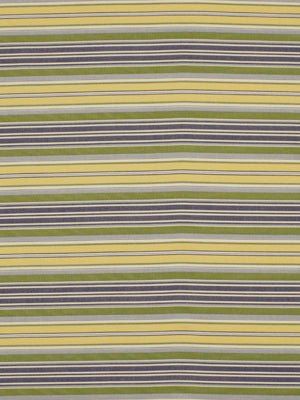 Cornflower Striped Cotton Print Fabric - Upholstery by Robert Allen