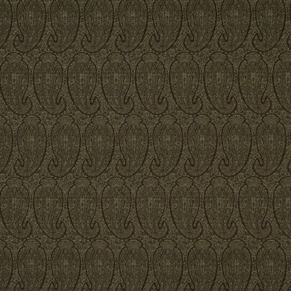 Eco Paisley Upholstery Fabric - Nightshade by Robert Allen