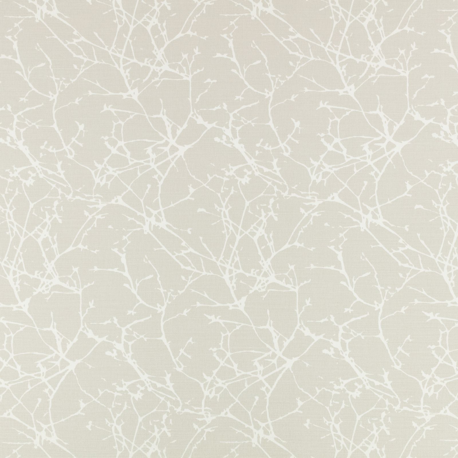 Acacia Shell by Romo