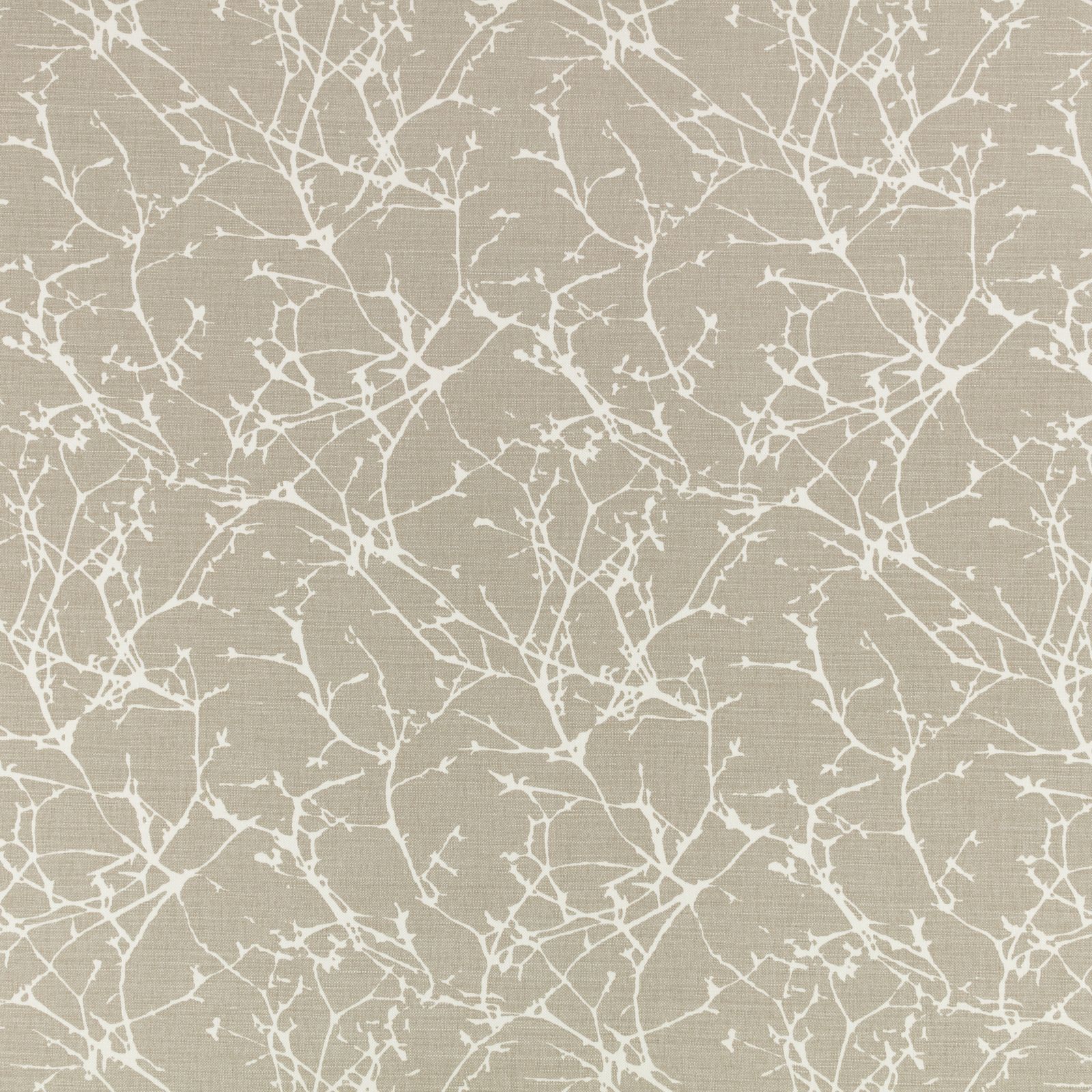 Acacia String by Romo