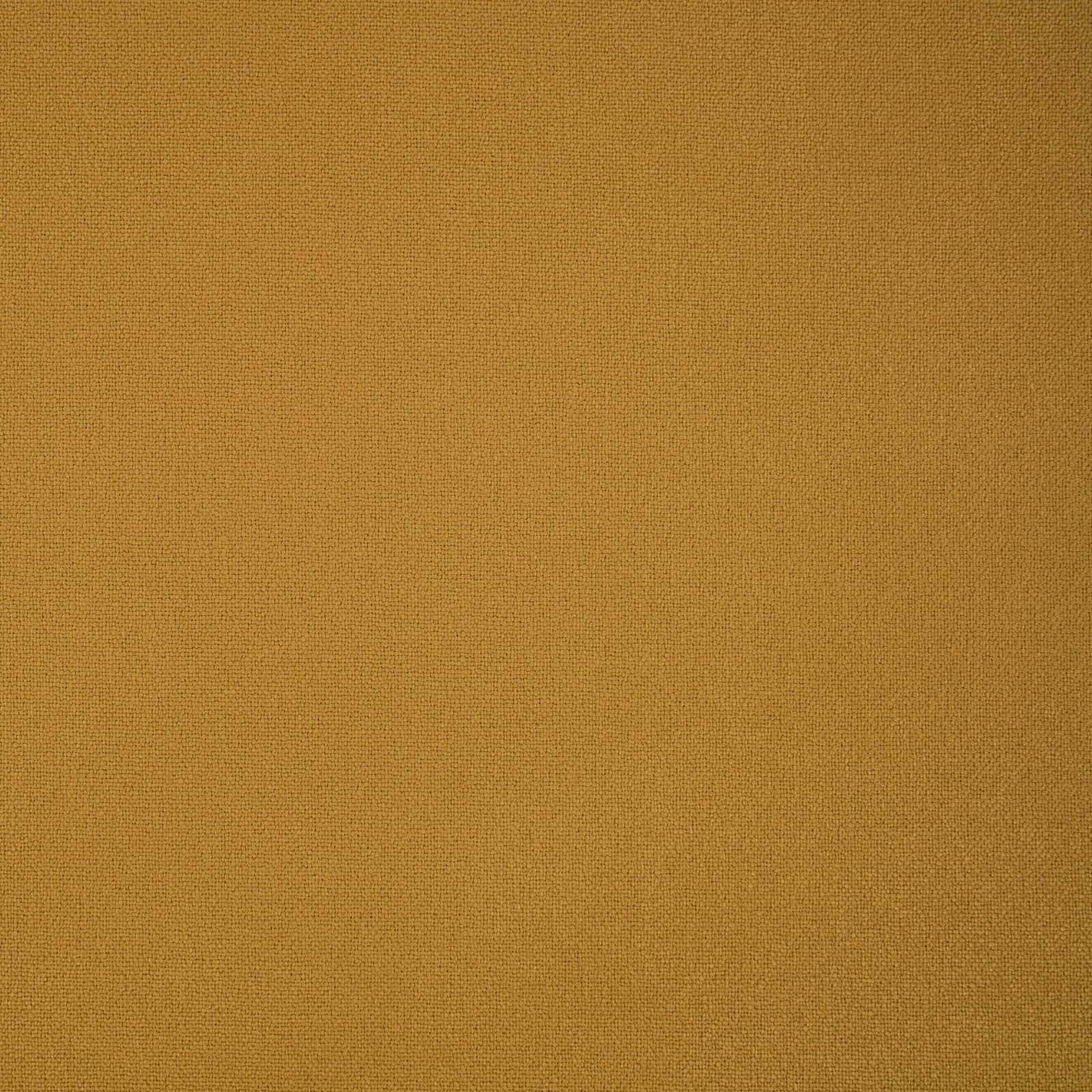 Elio Goldcrest by Romo