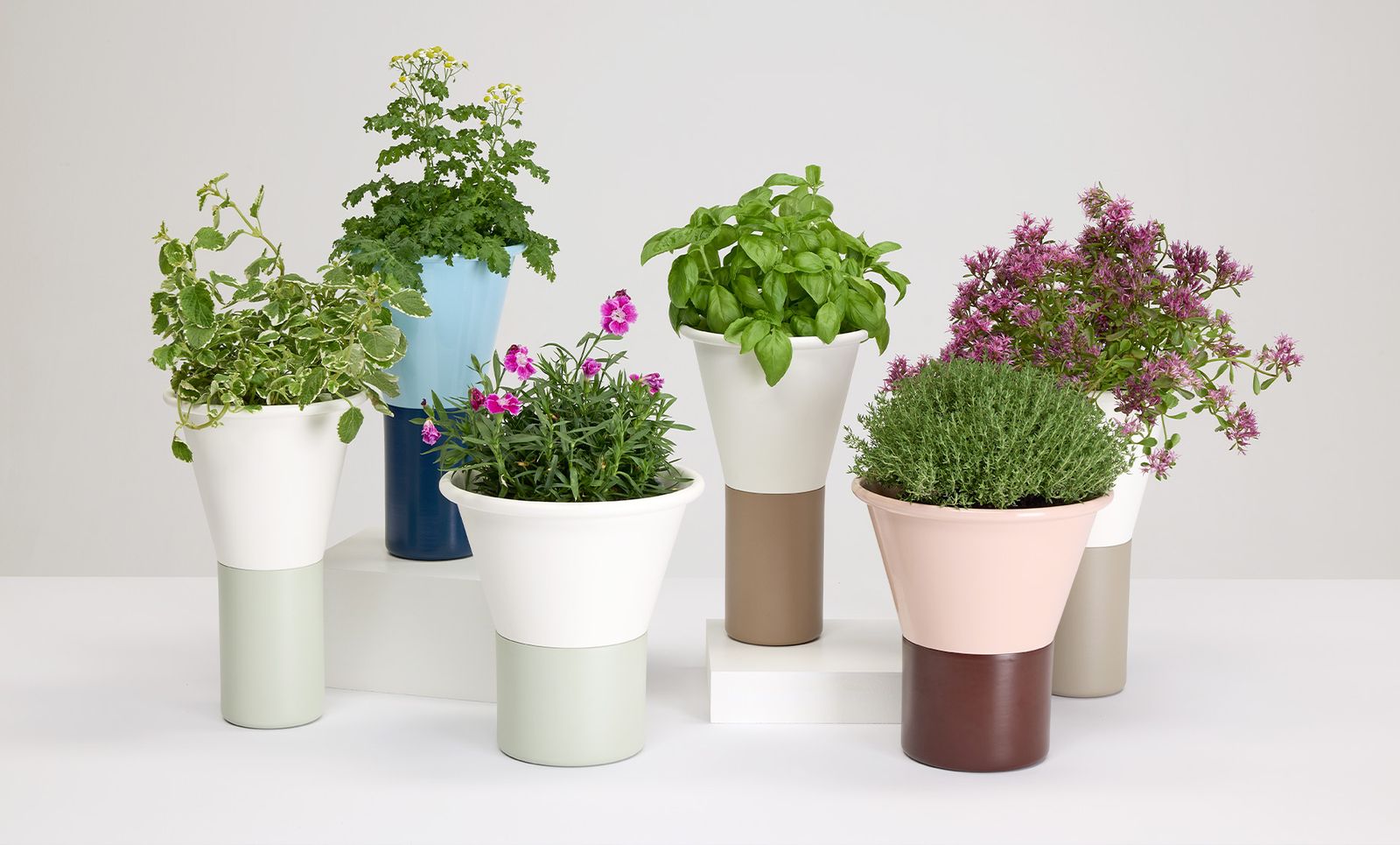 Mimosa - Vases - S•CAB by Scab Giardino spa