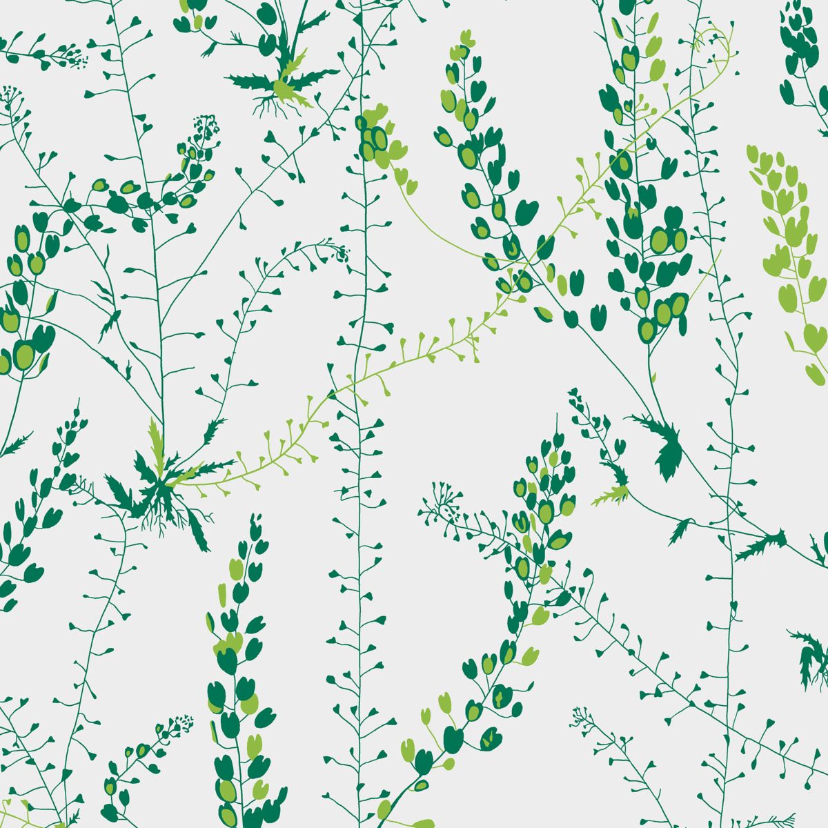 Bladranker Leaf by Schumacher