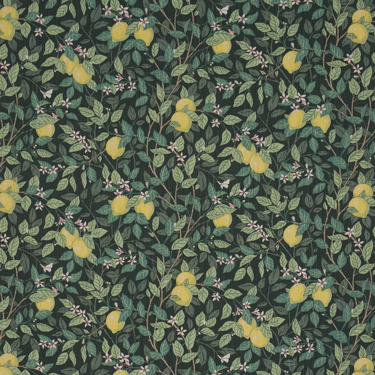 CitrontrÄd Green by Schumacher