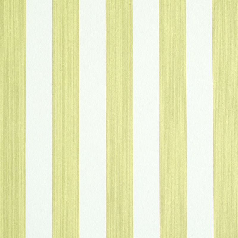 Edwin Stripe Medium Citron by Schumacher