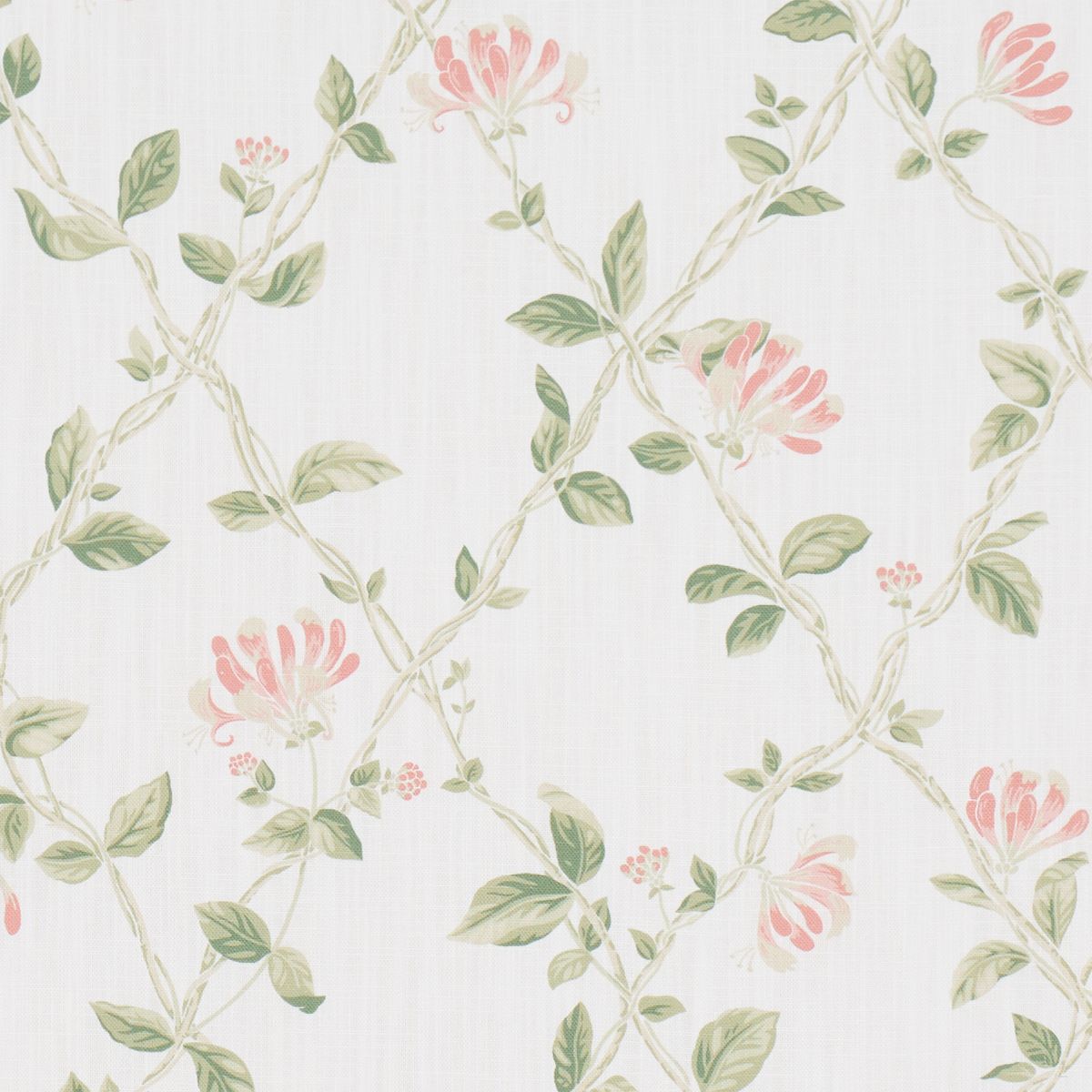 Honeysuckle Leaf by Schumacher