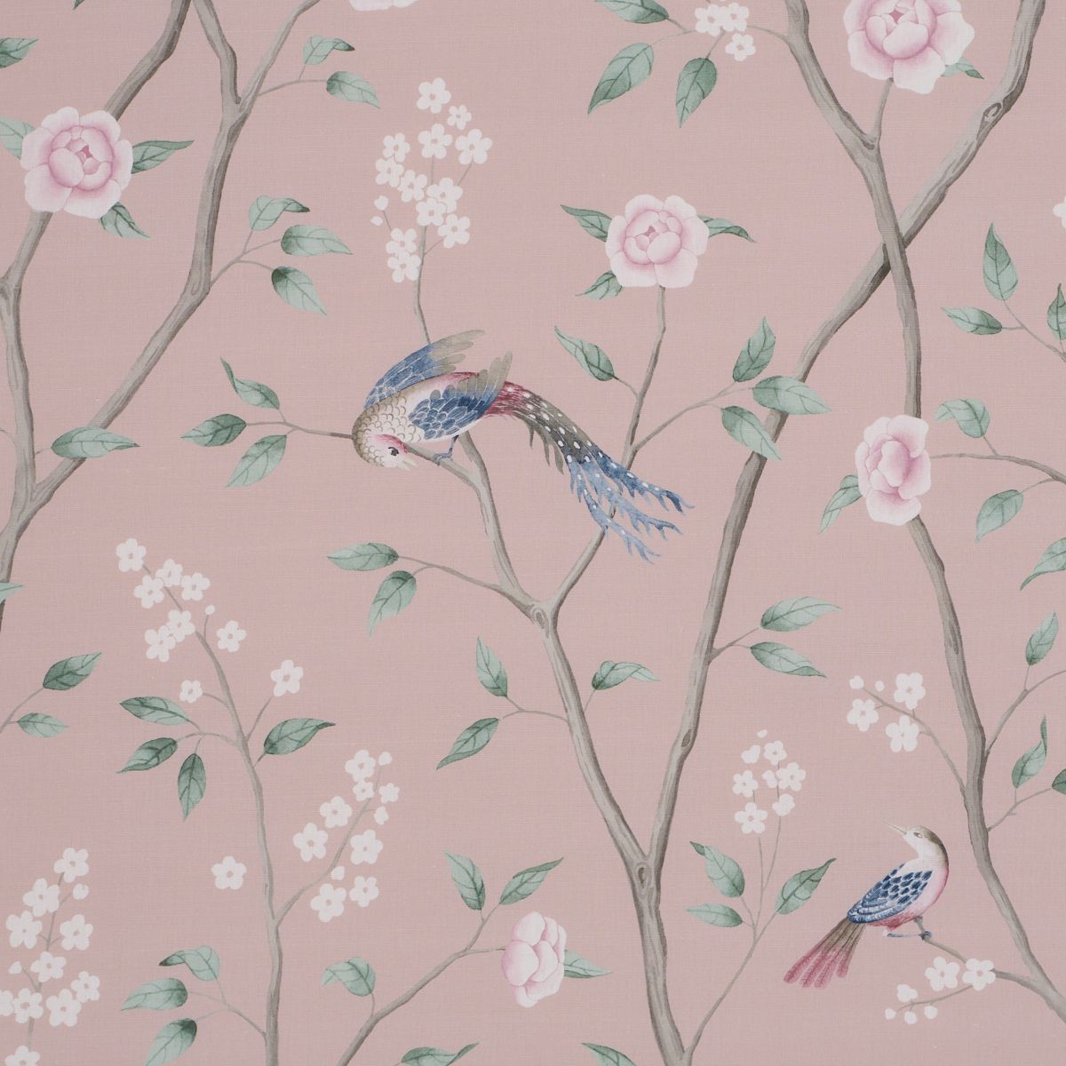 Paradise Birds Blush by Schumacher
