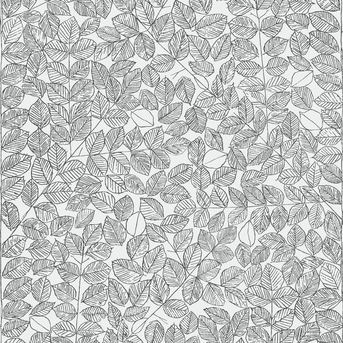 Romans Black by Schumacher