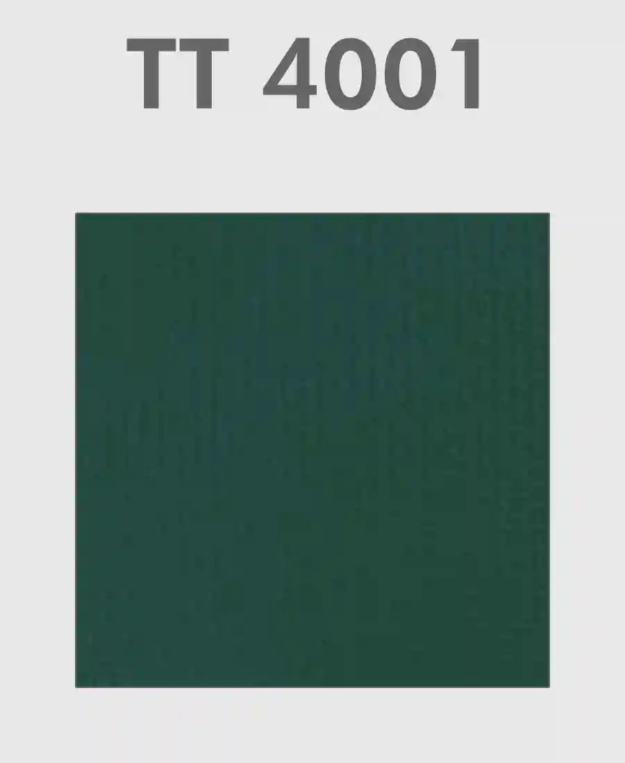 TT 4001 – Curtain fabric by Tendagi®