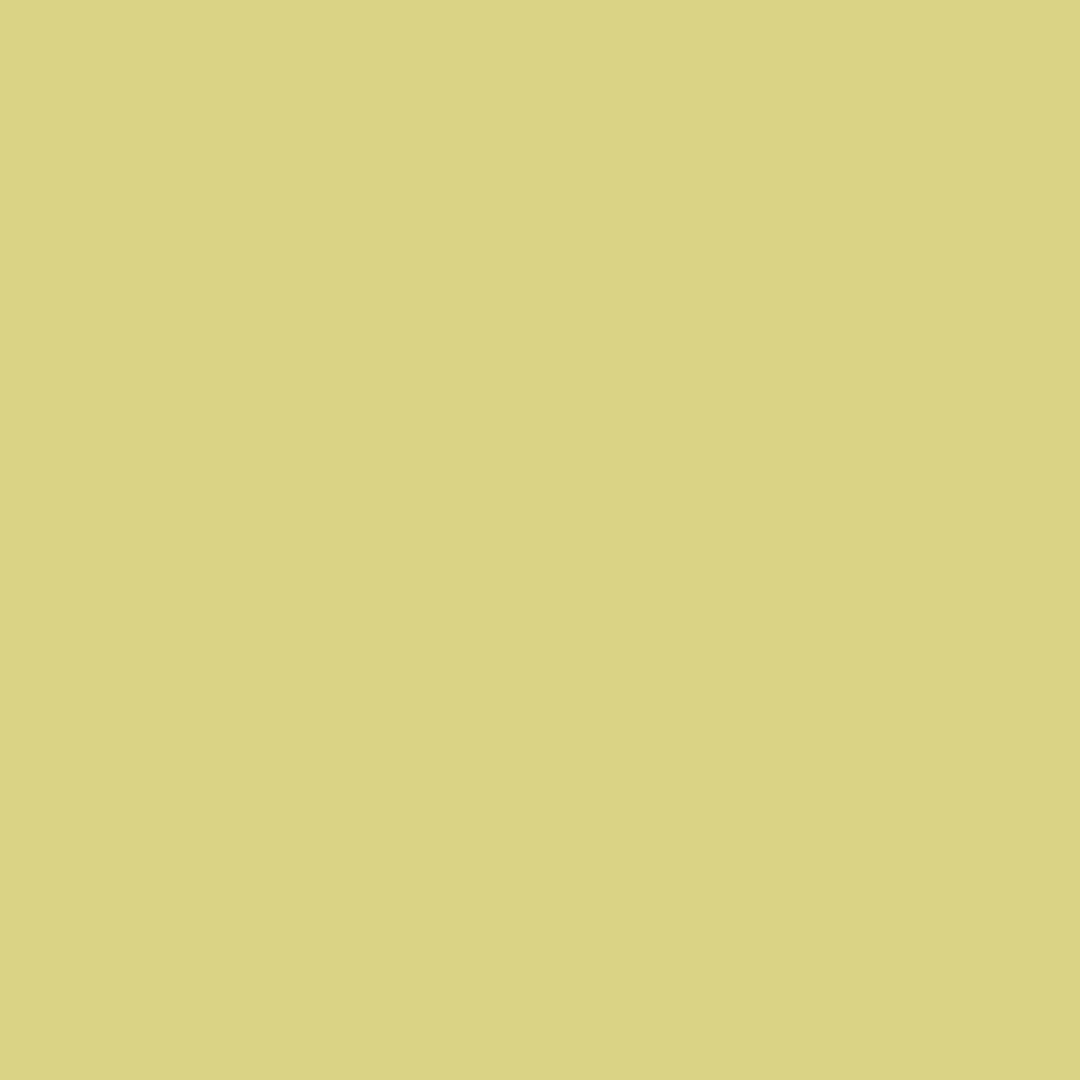 Paint Color Fresh Green | VERNICE ITALIA by Vernice