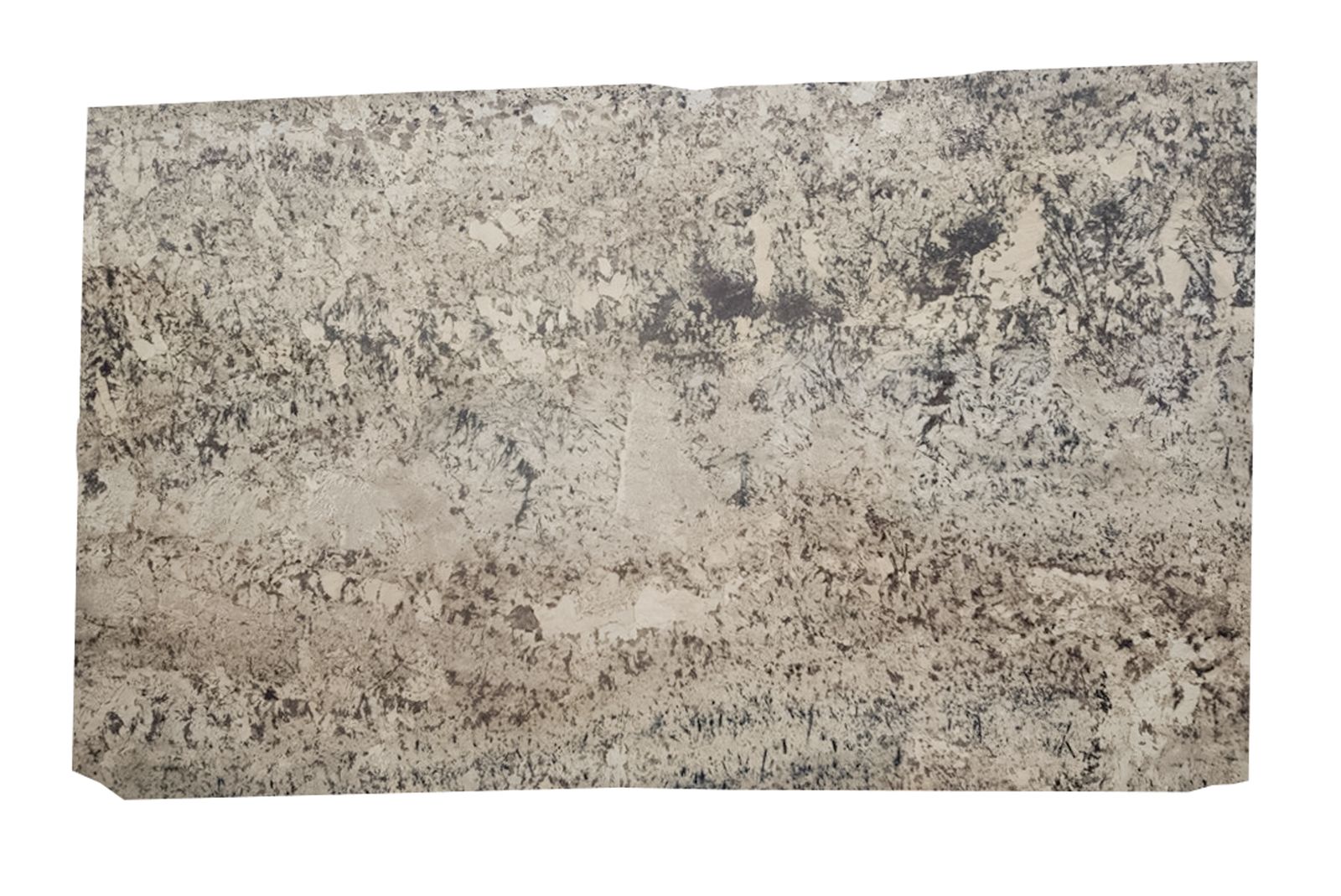 3/4 Slab Delicatus Cream Polished by Walker Zanger