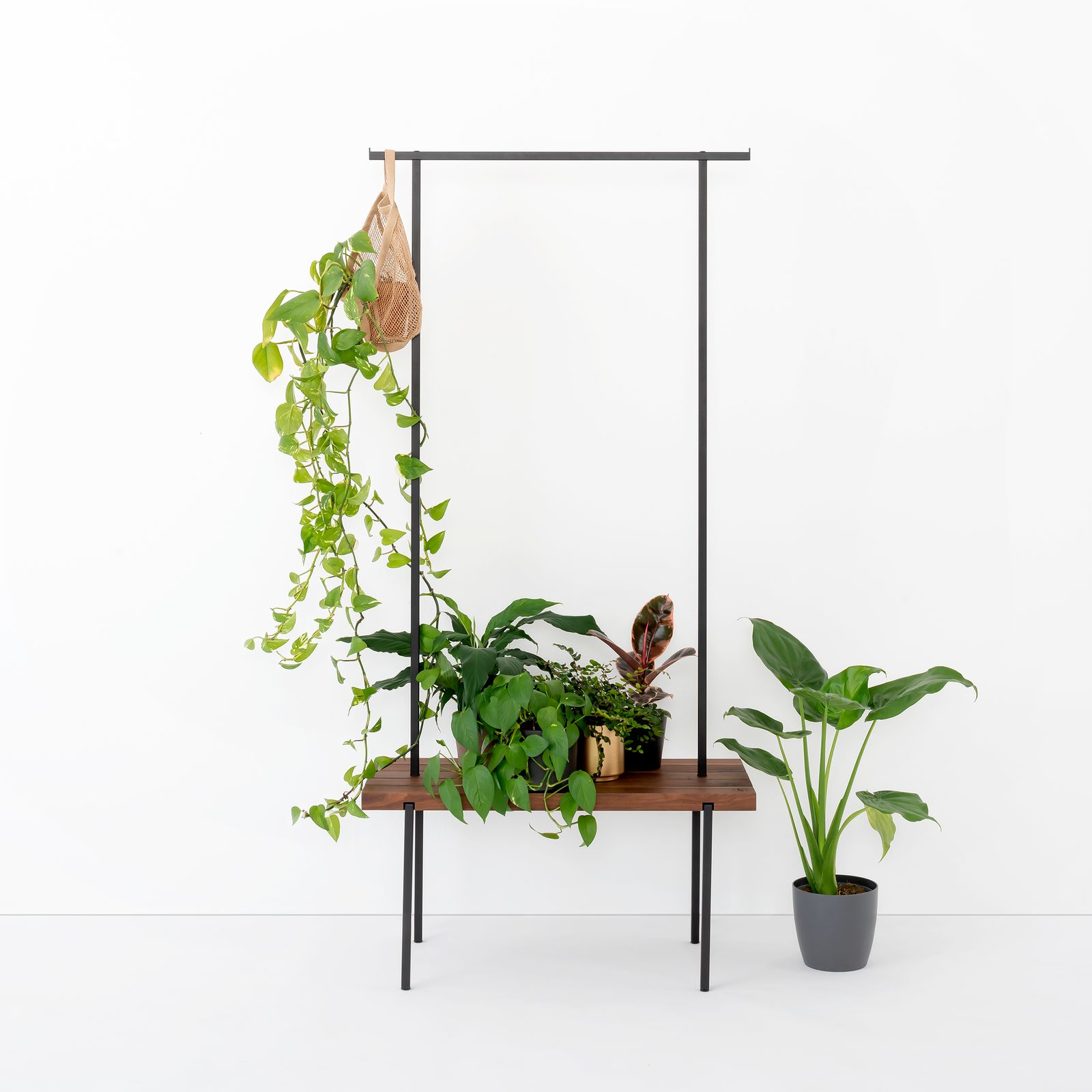 Walnut 01 Coat Rack by Weld & Co