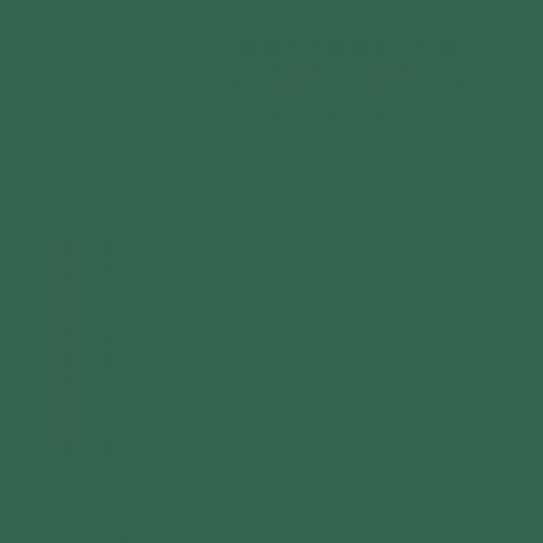 RAL 6000 Patina Green Aerosol Spray Paint 1K/2K 400ml by Your Spray Paints