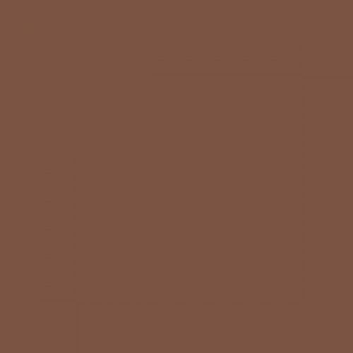 RAL 8002 Signal Brown Aerosol Spray Paint 1K/2K 400ml by Your Spray Paints