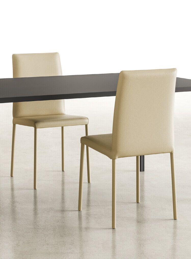 Thin Table And Main Chair by Zalf
