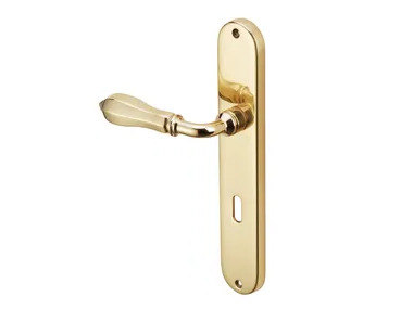 GRANADA - Brass door handle on back plate by Dnd