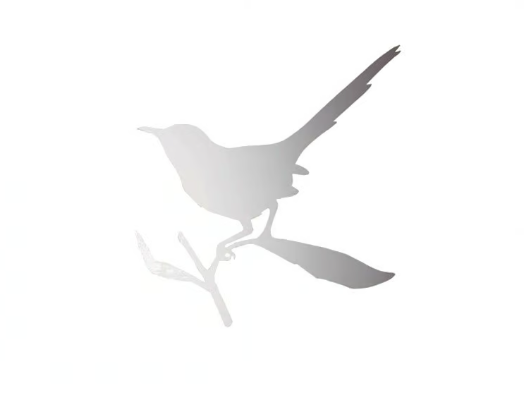 TAYLOR BIRD - Wall-mounted mirror by Driade