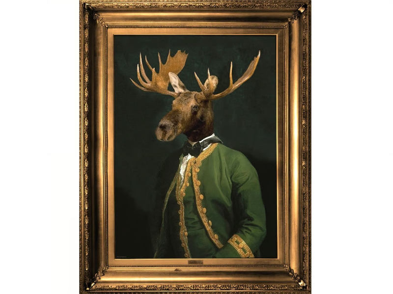 LORD MONTAGUE - Canvas print by Mineheart