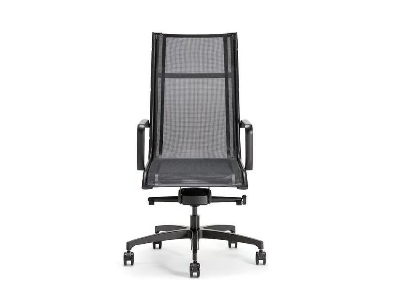 AALBORG AIR 01 BK - Swivel mesh executive chair with armrests with 5-spoke base by Nahu