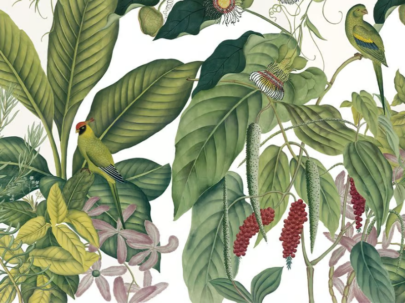 ANDAMAN COULEUR - Landscape wallpaper by Ressource