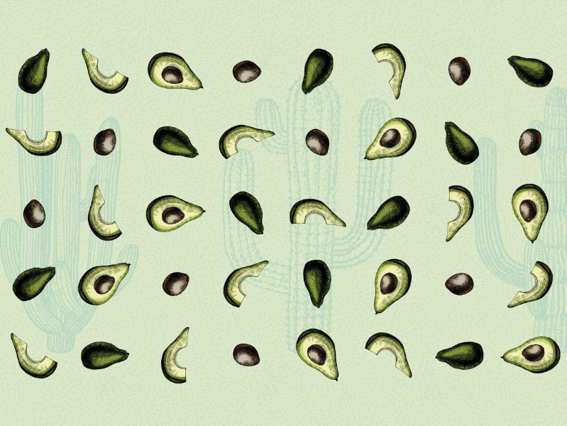AVOCACTUS WPN 127 - Motif panoramic wallpaper by Spaghetti Wall