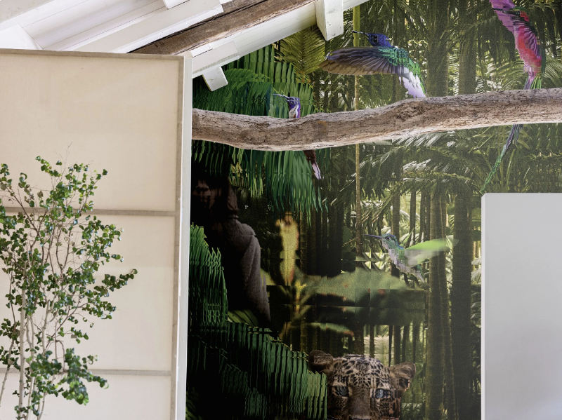 JUNGLE WPN 106 - Panoramic Tropical wallpaper by Spaghetti Wall