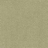 Trofeo Sage Green 12