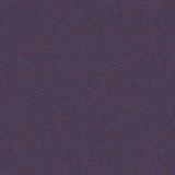 Torino Mystic Purple