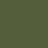 Verde Oliva RAL 6003