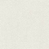 Trofeo Optic White 01