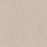 Trofeo Chalk 04