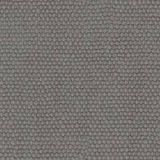 Trofeo Robust Grey 24