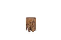 Root stool Radice