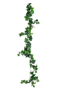 Ivy Garland - Styling by AM Acoustics