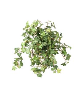 Ivy, 45 cm - Styling by AM Acoustics