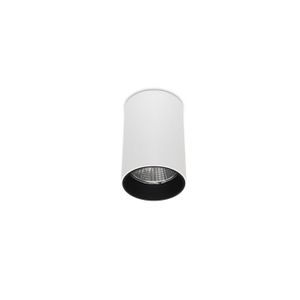 APLN-10WW1 - Ceiling lamp by A.L.S.